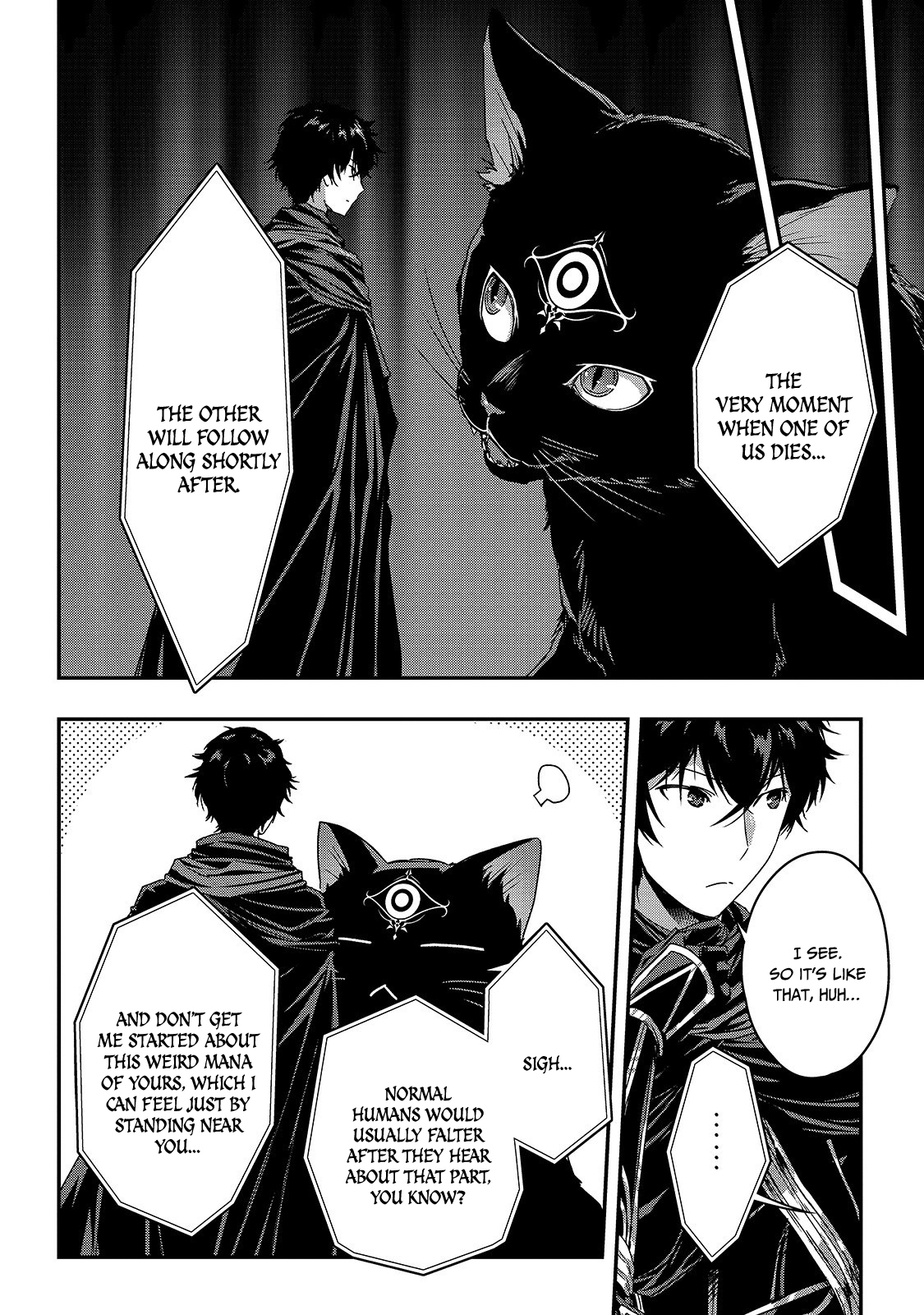 Assassin de Aru Ore no Sutetasu ga Yuusha Yori mo Akiraka ni Tsuyoi Nodaga Chapter 11 17